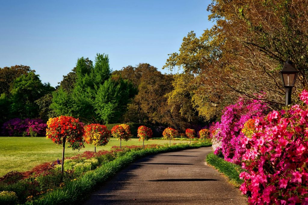 Ein malerischer Garten mit leuchtenden Blumenarrangements – perfekt für Hintergründe oder Hintergrundbilder.